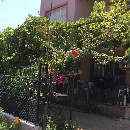 Begonvil 1 Fethiye
